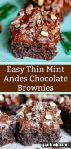 Quick Thin Mint Andes Chocolate Brownie Bars 10 Easy Thin Mint & Andes Chocolate Brownies