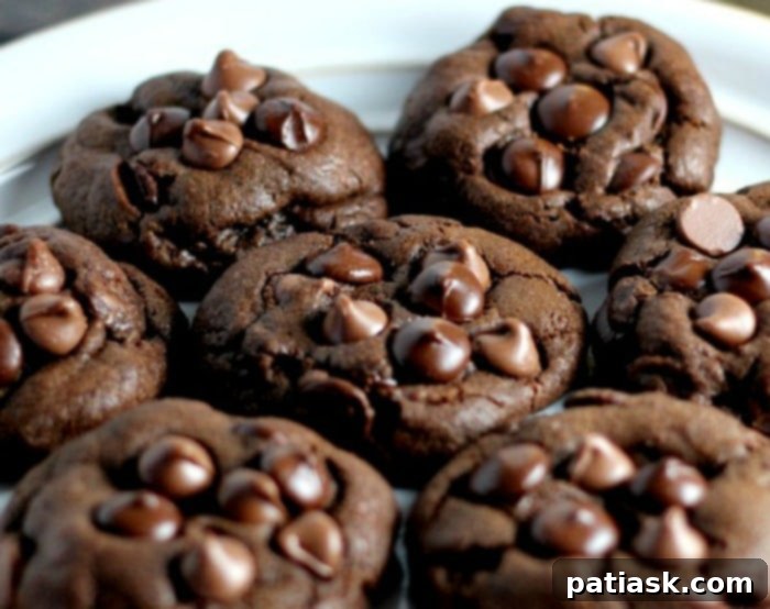 THICK AND FUDGY CHOCOLATE EXPLOSION COOKIES 9 thick chocolate cookies