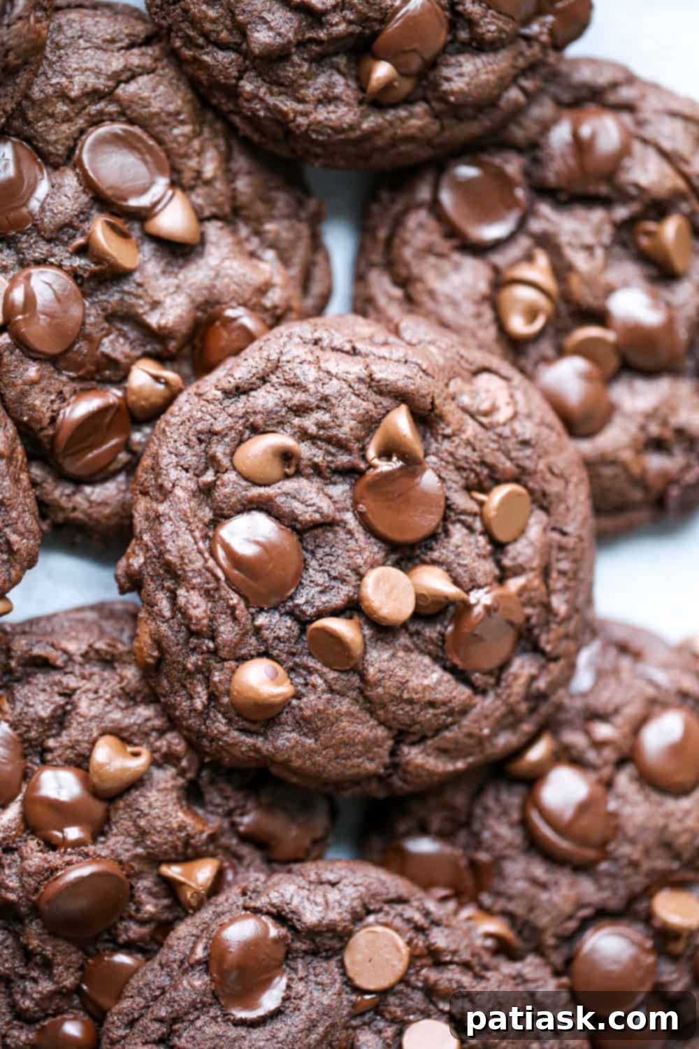 THICK AND FUDGY CHOCOLATE EXPLOSION COOKIES 10 'Thick 'n Fudgy' Chocolate Explosion Cookies