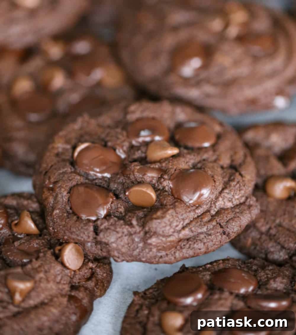THICK AND FUDGY CHOCOLATE EXPLOSION COOKIES 4 fudgy thick chocolate cookies