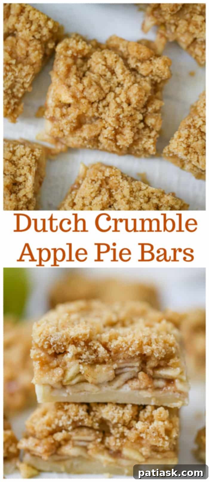 Dutch Apple Crumble Bars 11 Easy Dutch Crumble Apple Pie Bars