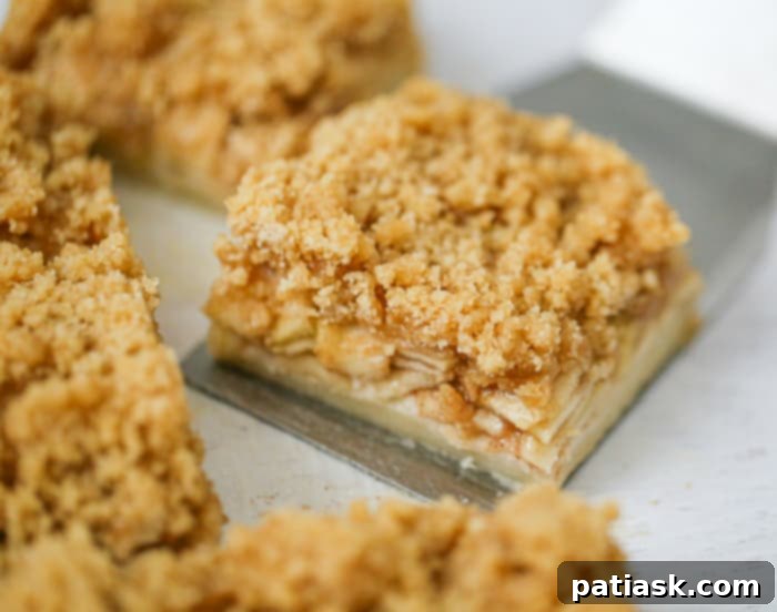 Dutch Apple Crumble Bars 4 Easy Dutch Crumble Apple Pie Bars