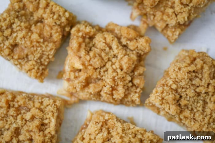 Dutch Apple Crumble Bars 6 Easy Dutch Crumble Apple Pie Bars