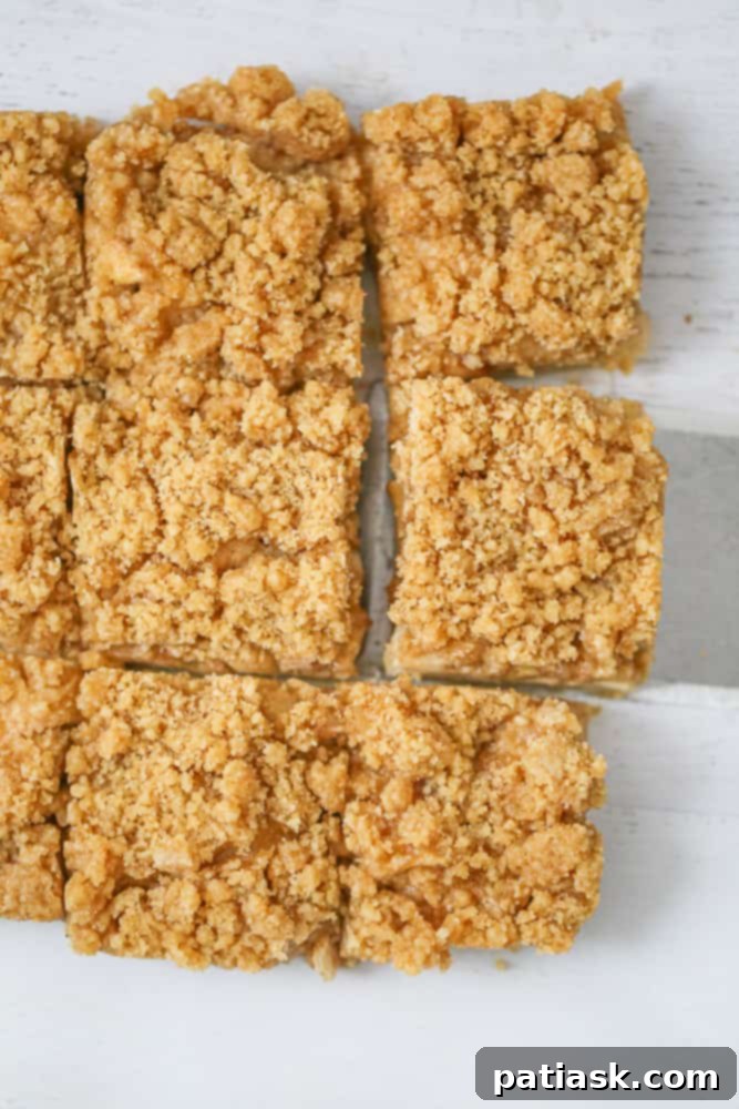 Dutch Apple Crumble Bars 8 favorite fall dessert