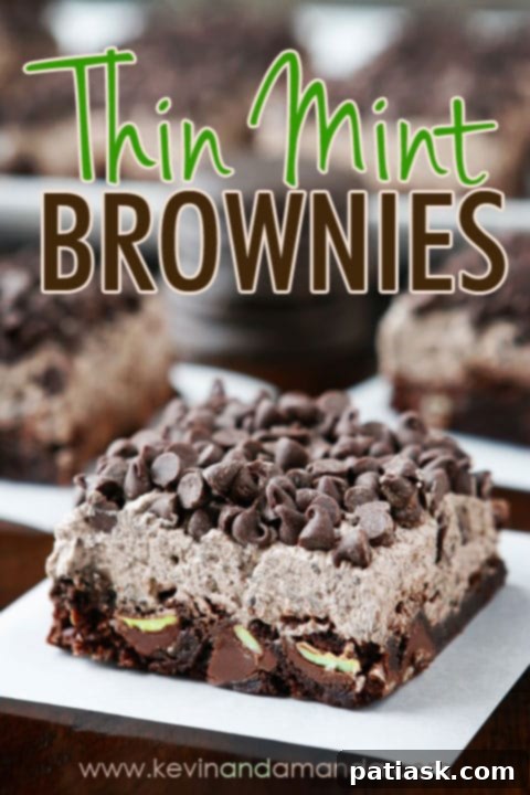 Decadent Chocolate Mint Brownie Recipes 10 Dark Chocolate Thin Mint Brownies