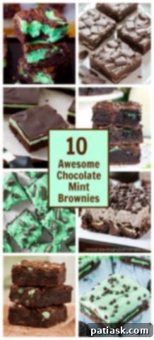 Decadent Chocolate Mint Brownie Recipes 14 Mint chocolate brownie visual