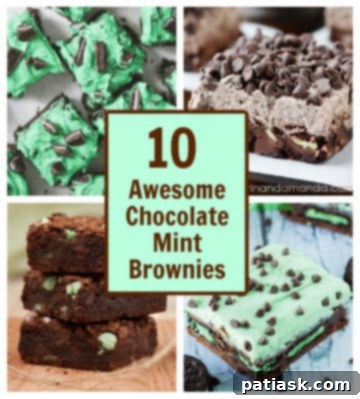 Decadent Chocolate Mint Brownie Recipes 16 Variety of chocolate mint brownies