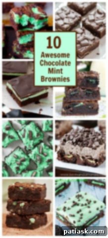 Decadent Chocolate Mint Brownie Recipes 17 Mint chocolate brownie with frosting