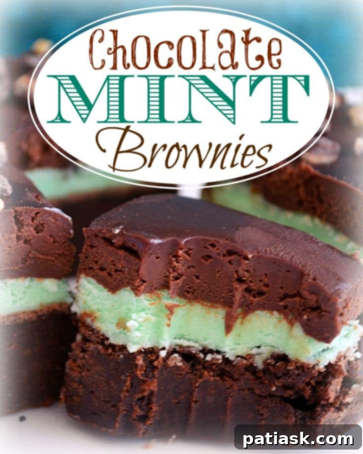 Decadent Chocolate Mint Brownie Recipes 4 Mint Chocolate Chip Brownies with frosting