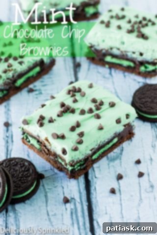 Decadent Chocolate Mint Brownie Recipes 5 Classic Chocolate Mint Brownies with ganache