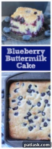 Buttermilk Blueberry Jubilee Cake 12 Buttermilk Blueberry Explosion Cake