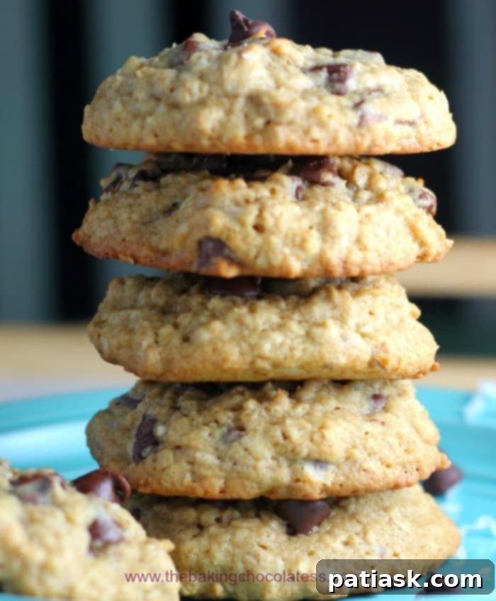 Irresistible Coconut Chocolate Chip Oatmeal Delights 2 Best Coconut Chocolate Chip Oatmeal Cookies