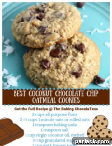 Irresistible Coconut Chocolate Chip Oatmeal Delights 6 Best Coconut Chocolate Chip Oatmeal Cookies
