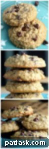 Irresistible Coconut Chocolate Chip Oatmeal Delights 8 Best Coconut Chocolate Chip Oatmeal Cookies