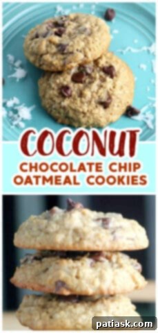 Irresistible Coconut Chocolate Chip Oatmeal Delights 9 Best Coconut Chocolate Chip Oatmeal Cookies