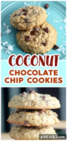 Irresistible Coconut Chocolate Chip Oatmeal Delights 10 Best Coconut Chocolate Chip Oatmeal Cookies