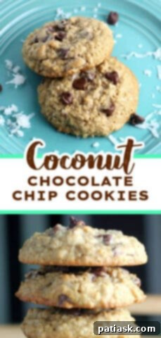 Irresistible Coconut Chocolate Chip Oatmeal Delights 11 Best Coconut Chocolate Chip Oatmeal Cookies