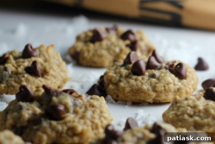 Irresistible Coconut Chocolate Chip Oatmeal Delights 5 Best Coconut Chocolate Chip Oatmeal Cookies