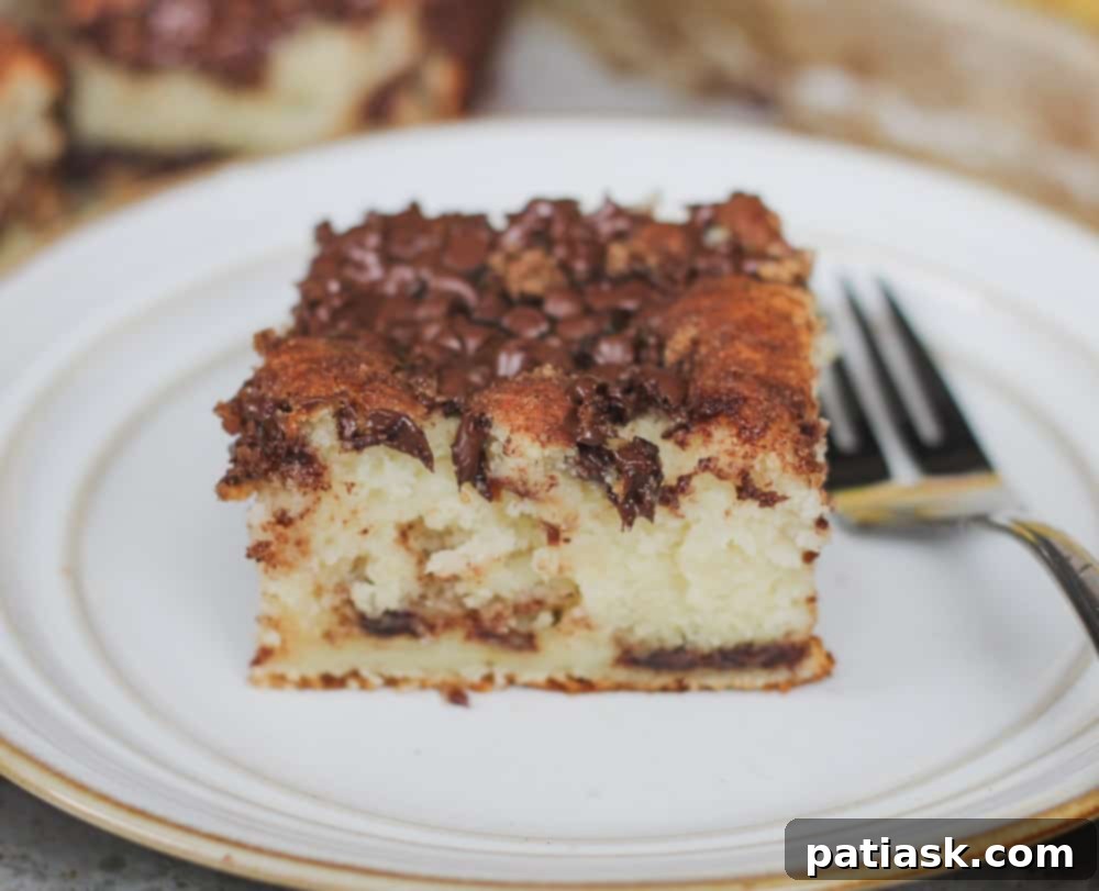 Bisquick Chocolate Cinnamon Greek Yogurt Banana Coffee Cake from a top-down view