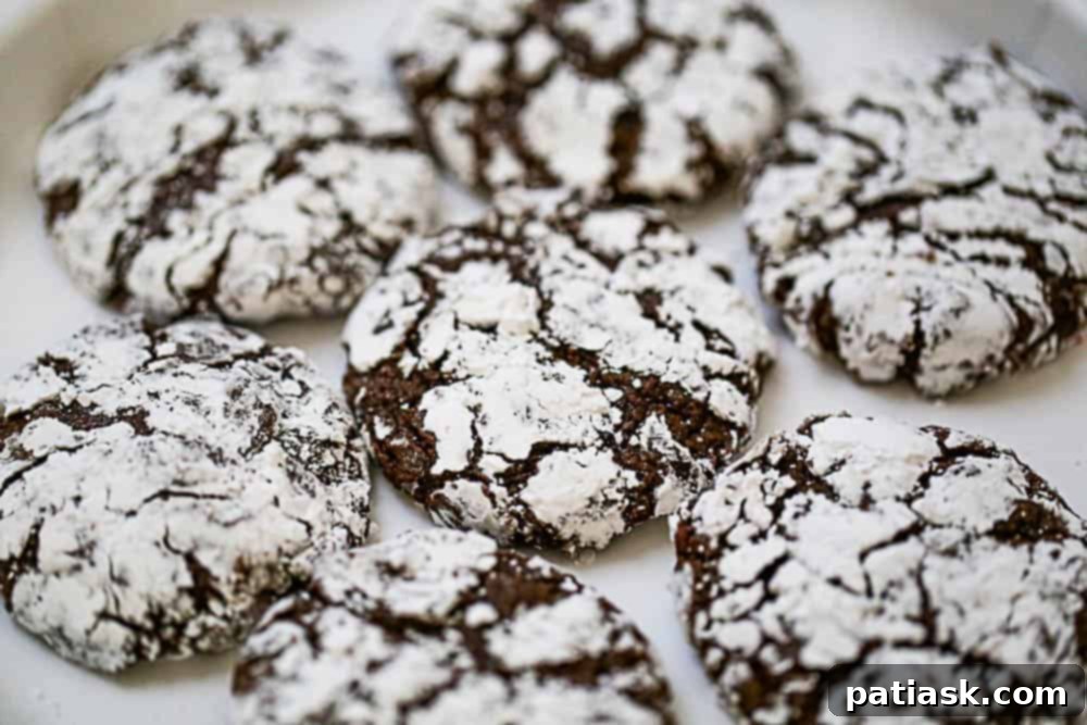 Cracked Chocolate Fudge Delights 7 Christmas Chocolate Crinkle Cookie Recipe - A beautiful spread of chocolate crinkle cookies on a festive holiday platter.