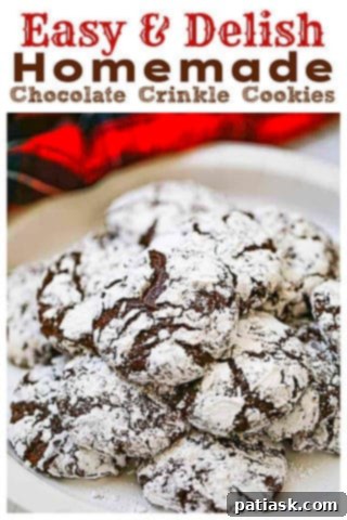 Cracked Chocolate Fudge Delights 11 Homemade Chocolate Crinkle Cookies - A delicious chocolate crinkle cookie.
