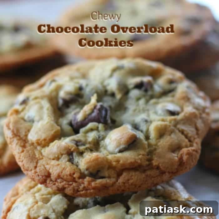 Chewy Chocolate Chunk Perfection 2 Chewy Chocolate Overload Cookies - Golden brown chocolate chunk cookies with melted chocolate pockets.