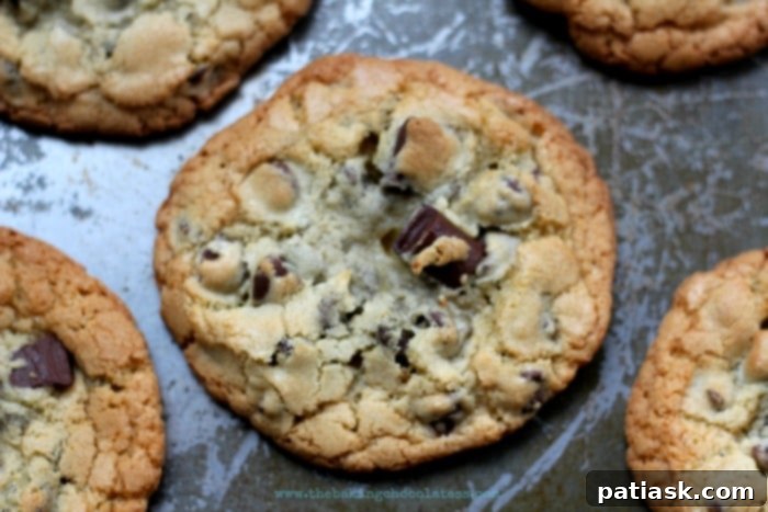 Chewy Chocolate Chunk Perfection 4 Chewy Chocolate Overload Cookies - Stack of chocolate chunk cookies, showing the rich, gooey chocolate inside.