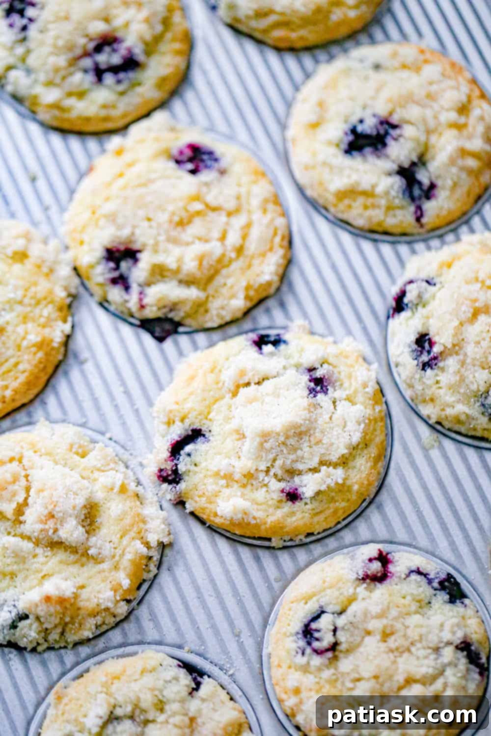 Golden Streusel Blueberry Muffins 4 Best Blueberry Crumble Muffins