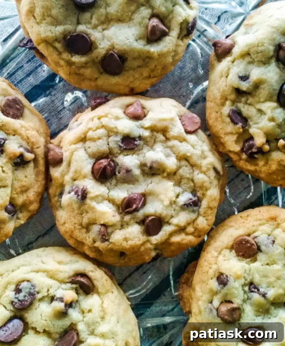 Celebrate National Chocolate Chip Day with 20 Irresistible Cookie Recipes 2 Soft Batch Chocolate Chip Cookies