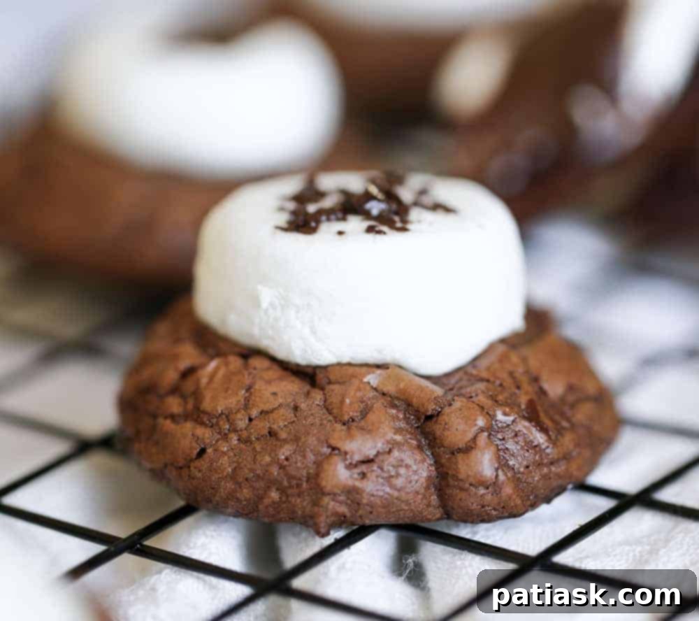 Celebrate National Chocolate Chip Day with 20 Irresistible Cookie Recipes 12 ‘Hubba-Hubba’ Brownie Chocolate Chip Marshmallow Cookies with melted marshmallow