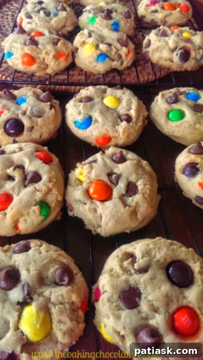 Celebrate National Chocolate Chip Day with 20 Irresistible Cookie Recipes 14 Soft JUMBO Peanut Butter Cookies for National Chocolate Chip Day