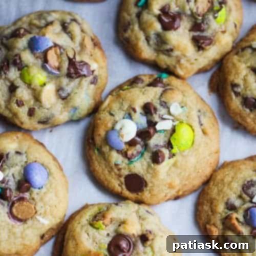 Celebrate National Chocolate Chip Day with 20 Irresistible Cookie Recipes 17 Cheesecake Pudding Chocolate Chip Cookies for National Chocolate Chip Day