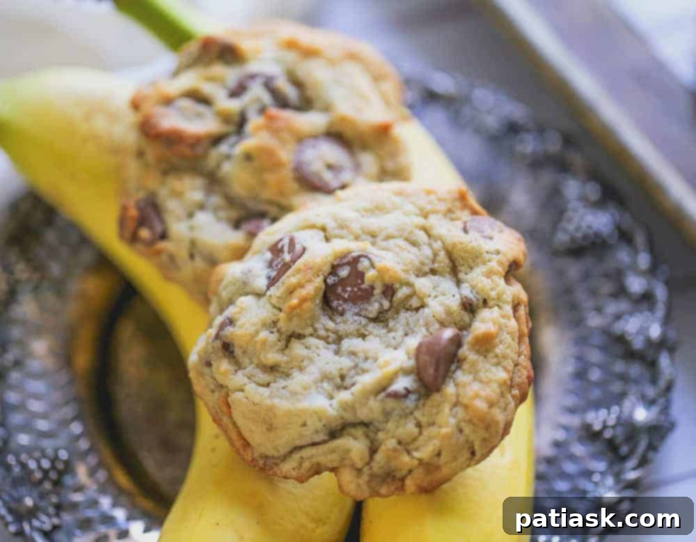 Celebrate National Chocolate Chip Day with 20 Irresistible Cookie Recipes 19 Perfect Banana Milk Chocolate Chip Cookies, featuring bananas and milk chocolate