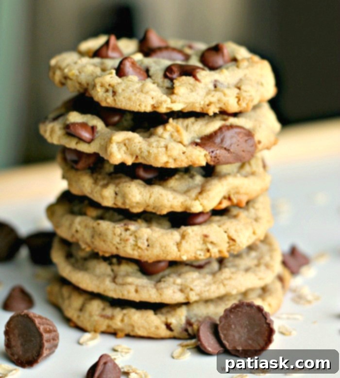 Celebrate National Chocolate Chip Day with 20 Irresistible Cookie Recipes 22 Reese's Peanut Butter Cup Chocolate Chip Oatmeal Cookies