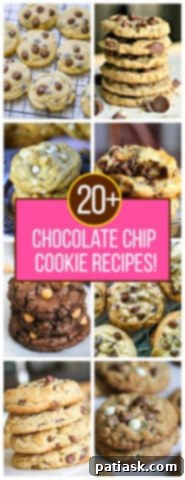 Celebrate National Chocolate Chip Day with 20 Irresistible Cookie Recipes 25 Assortment of chocolate chip cookie recipes