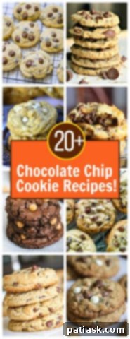 Celebrate National Chocolate Chip Day with 20 Irresistible Cookie Recipes 26 Variety of homemade chocolate chip desserts