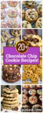 Celebrate National Chocolate Chip Day with 20 Irresistible Cookie Recipes 27 Delicious chocolate chip snack ideas