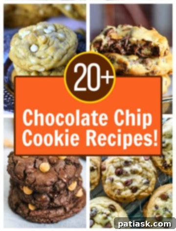 Celebrate National Chocolate Chip Day with 20 Irresistible Cookie Recipes 28 Desserts featuring chocolate chips