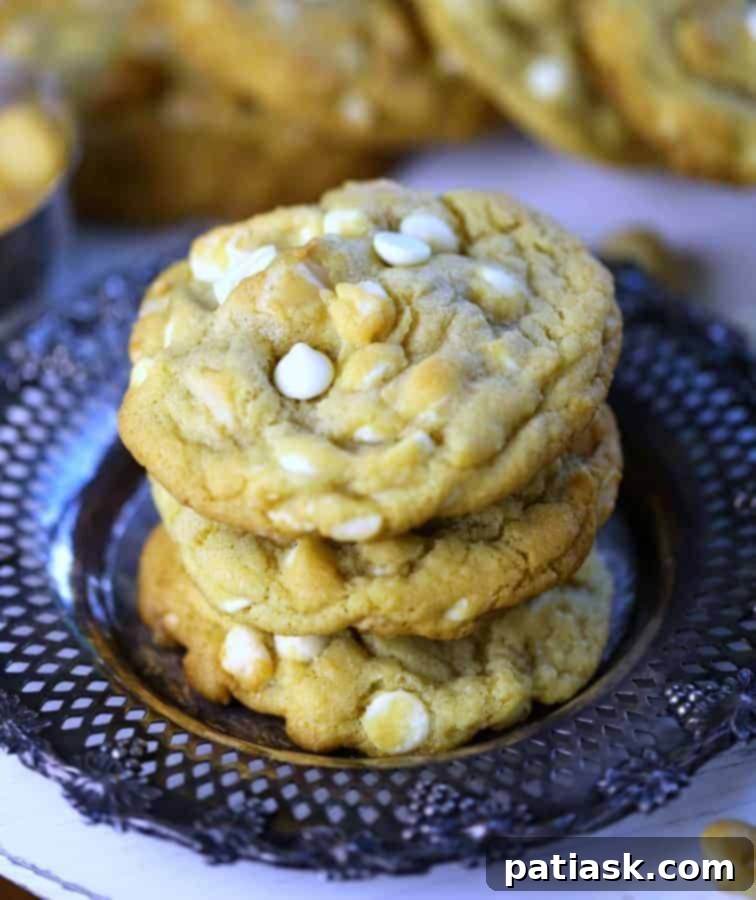Celebrate National Chocolate Chip Day with 20 Irresistible Cookie Recipes 7 Best-Ever White Chocolate Macadamia Nut Cookies, thick and soft