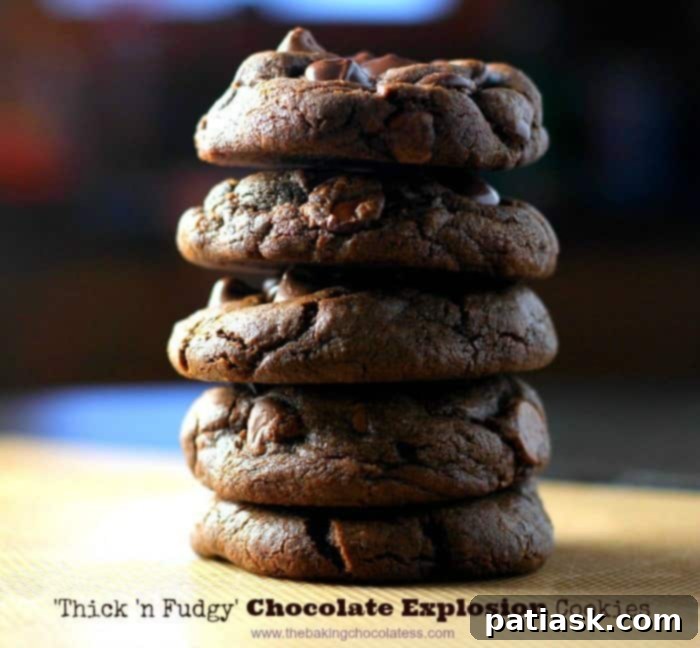 Celebrate National Chocolate Chip Day with 20 Irresistible Cookie Recipes 8 'Thick 'n Fudgy' Chocolate Explosion Cookies with multiple types of chocolate