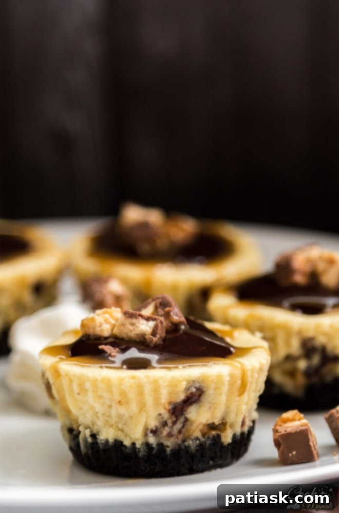 Delicious Mini Snickers Cheesecakes topped with chocolate ganache and caramel.
