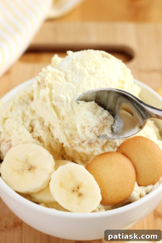 Homemade Ice Cream No Machine 12 Ways 5 summer desserts