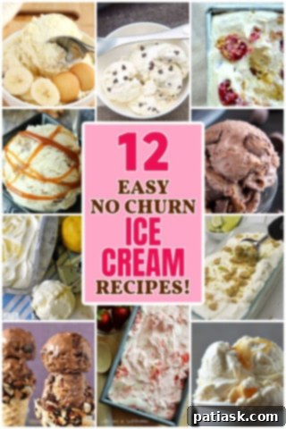 Homemade Ice Cream No Machine 12 Ways 8 12 Easy No Churn ICE CREAM FLAVORS