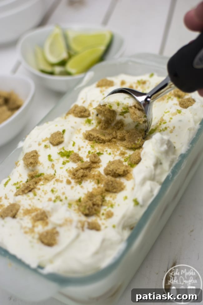 key-lime-pie-ice-cream-1 Key Lime Pie Ice Cream @ Lolly Jane