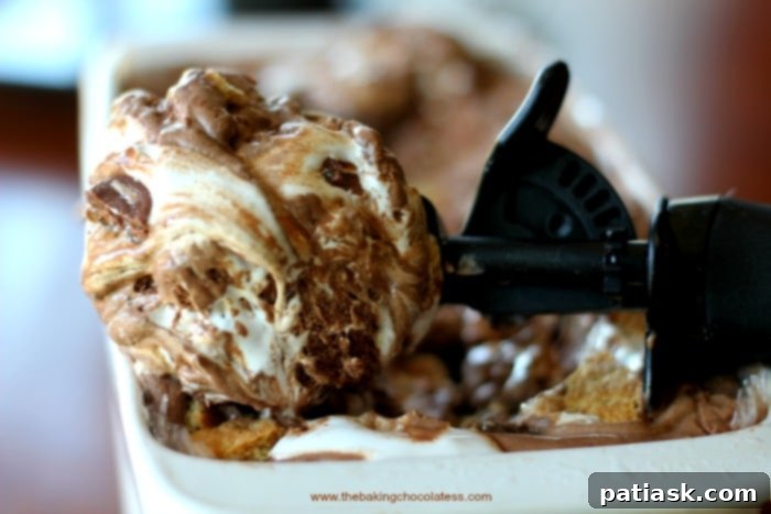 Supreme-Chocolate-Rolo-Smores-Ice-Cream12 Supreme Chocolate Rolo S'mores Ice Cream {No Churn} @ The Baking ChocolaTess