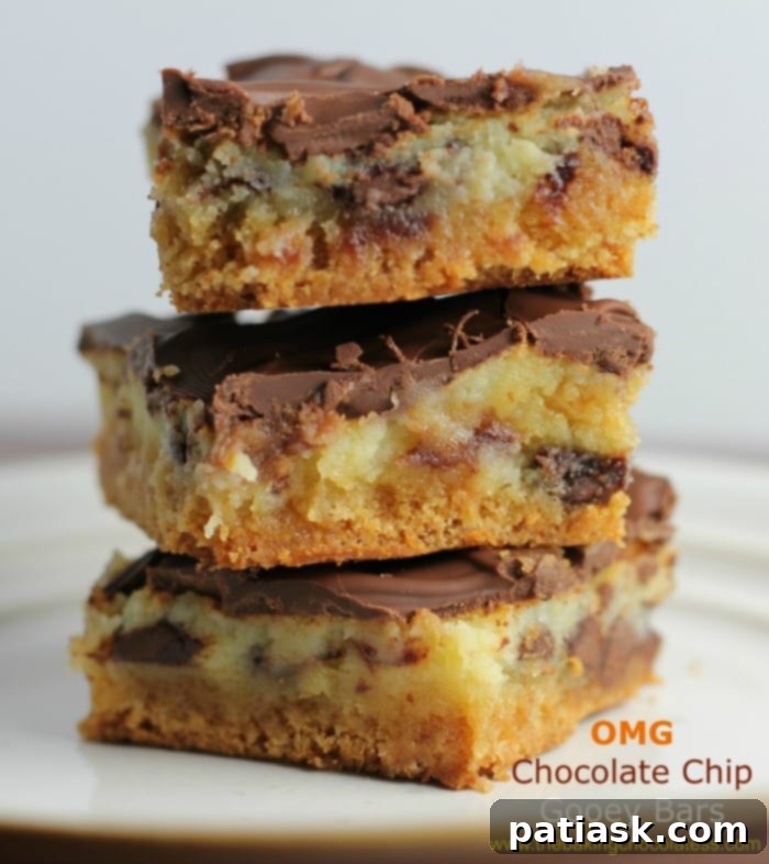 Irresistibly Gooey Chocolate Chip Bars 2 OMG Chocolate Chip Gooey Bars - A delectable dessert bar recipe