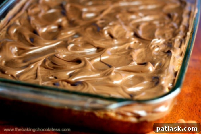 Irresistibly Gooey Chocolate Chip Bars 4 Baked chocolate chip gooey bars cooling in a baking pan, ready for icing