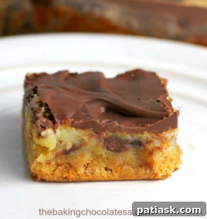 Irresistibly Gooey Chocolate Chip Bars 5 Serving of OMG Chocolate Chip Gooey Bars with a sprinkle of chocolate chips