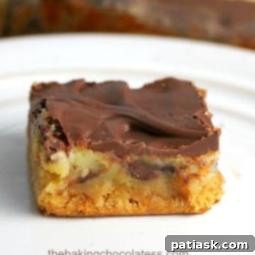 Irresistibly Gooey Chocolate Chip Bars 7 OMG Chocolate Chip Gooey Bars