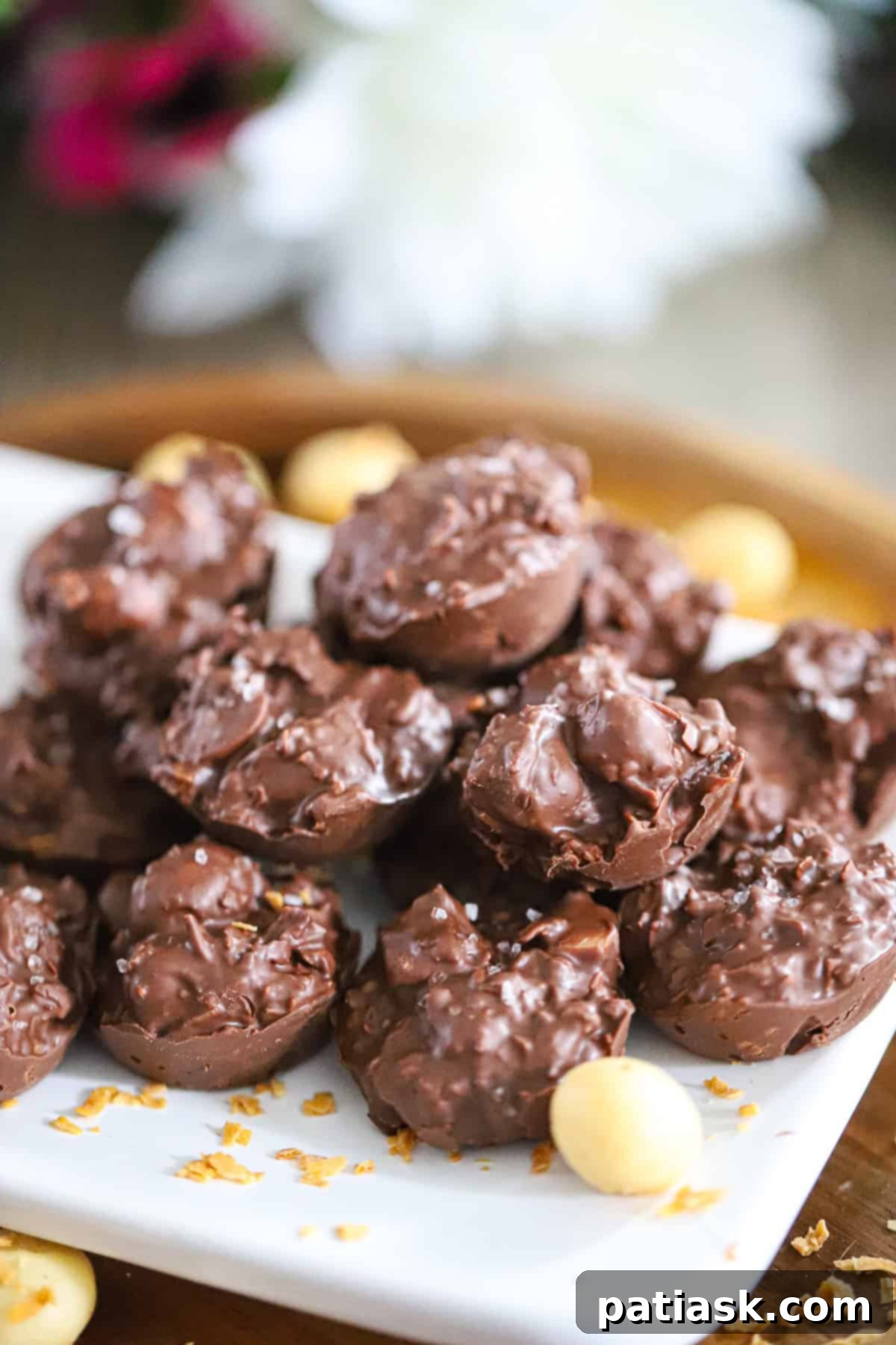 Chocolate Coconut Macadamia Nut Clusters Close-Up